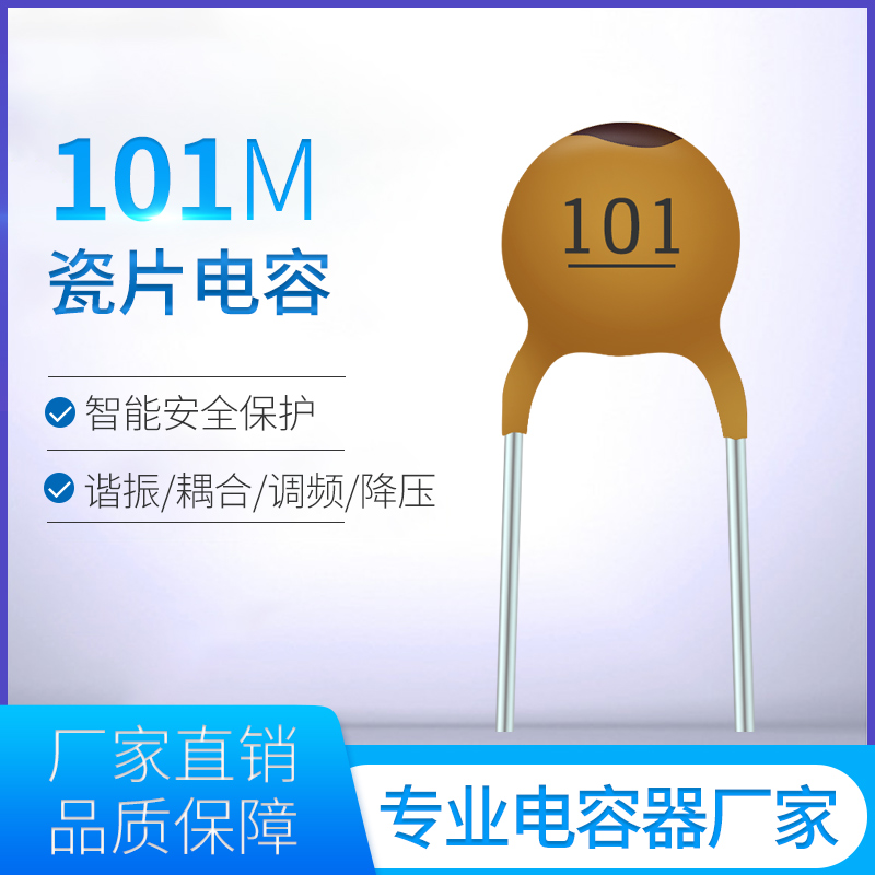 贴片Y电容101M